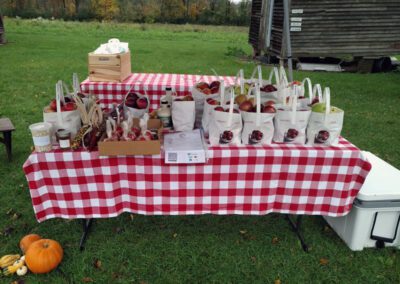 Farmstand in Benson, Vermont