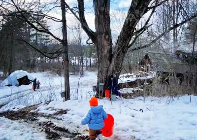 Cobble Knoll Maple Sugaring