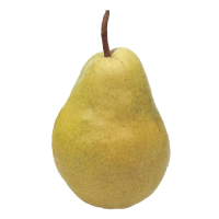 Bartlett Pear