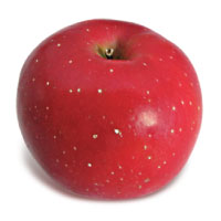 Redfield Apple