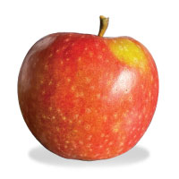 Wolf River Apple