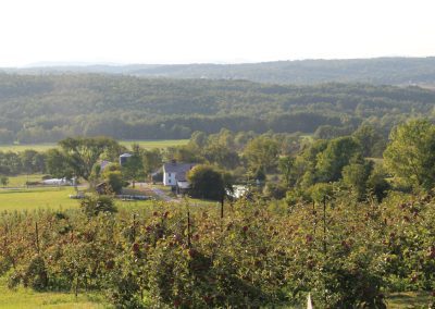 View from Cobble Knoll Orchard